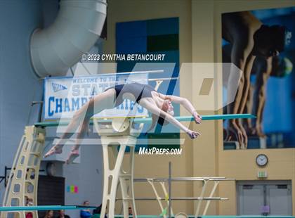 Thumbnail 3 in 3A Dive Championship photogallery.