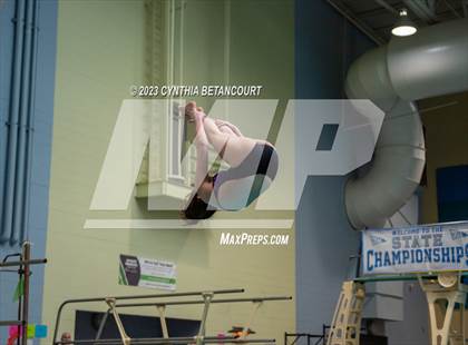 Thumbnail 1 in 3A Dive Championship photogallery.