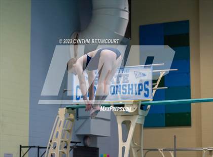 Thumbnail 2 in 3A Dive Championship photogallery.