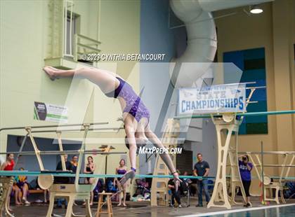 Thumbnail 3 in 3A Dive Championship photogallery.