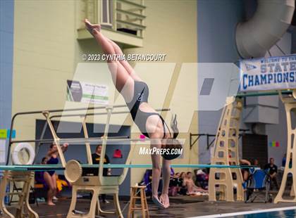 Thumbnail 1 in 3A Dive Championship photogallery.