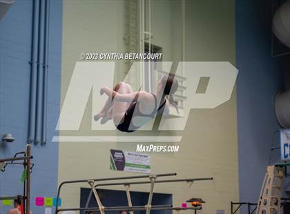 Thumbnail 2 in 3A Dive Championship photogallery.