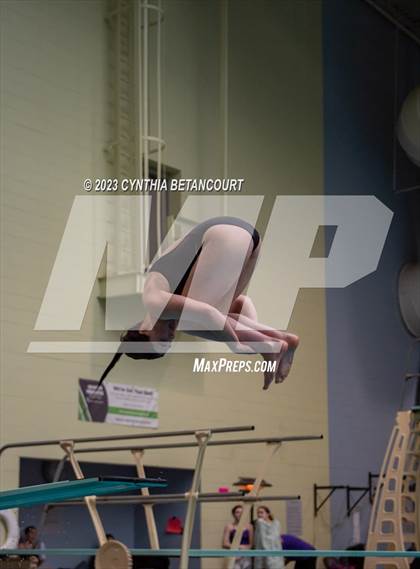 Thumbnail 1 in 3A Dive Championship photogallery.