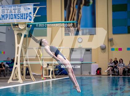 Thumbnail 1 in 3A Dive Championship photogallery.