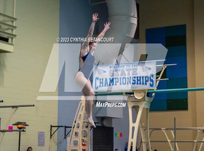 Thumbnail 1 in 3A Dive Championship photogallery.