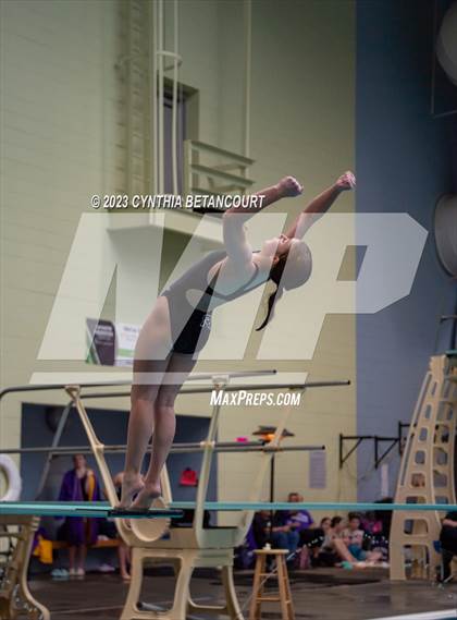 Thumbnail 1 in 3A Dive Championship photogallery.