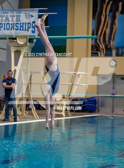 Thumbnail 1 in 3A Dive Championship photogallery.