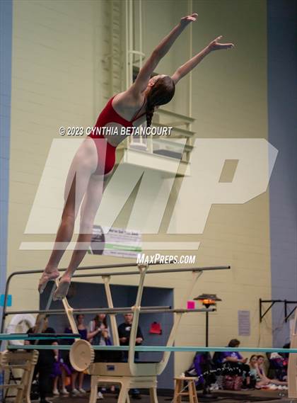 Thumbnail 1 in 3A Dive Championship photogallery.