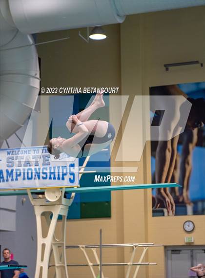 Thumbnail 1 in 3A Dive Championship photogallery.