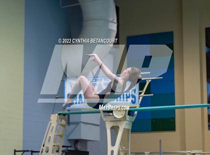 Thumbnail 3 in 3A Dive Championship photogallery.