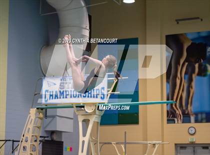 Thumbnail 1 in 3A Dive Championship photogallery.
