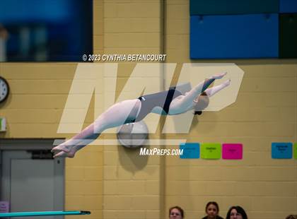 Thumbnail 2 in 3A Dive Championship photogallery.