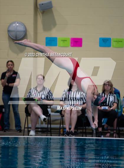 Thumbnail 1 in 3A Dive Championship photogallery.