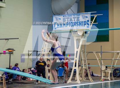 Thumbnail 2 in 3A Dive Championship photogallery.