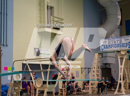 Thumbnail 1 in 3A Dive Championship photogallery.