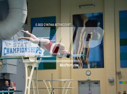 Thumbnail 1 in 3A Dive Championship photogallery.