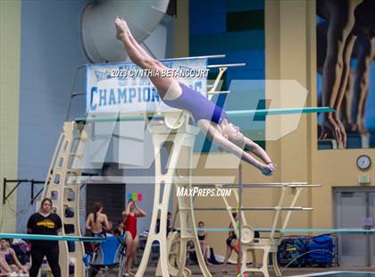 Thumbnail 1 in 3A Dive Championship photogallery.