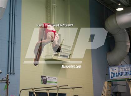Thumbnail 2 in 3A Dive Championship photogallery.