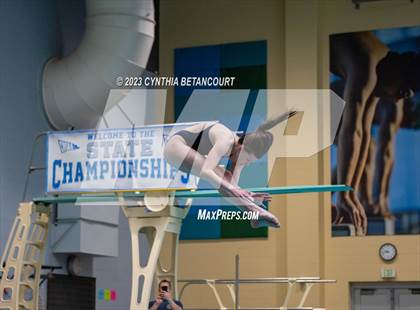 Thumbnail 2 in 3A Dive Championship photogallery.