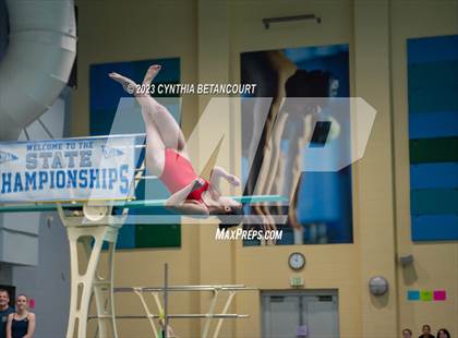 Thumbnail 2 in 3A Dive Championship photogallery.