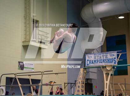 Thumbnail 1 in 3A Dive Championship photogallery.