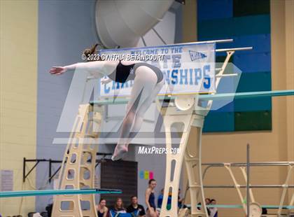 Thumbnail 2 in 3A Dive Championship photogallery.