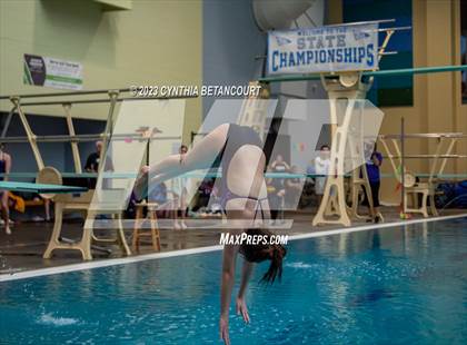 Thumbnail 3 in 3A Dive Championship photogallery.
