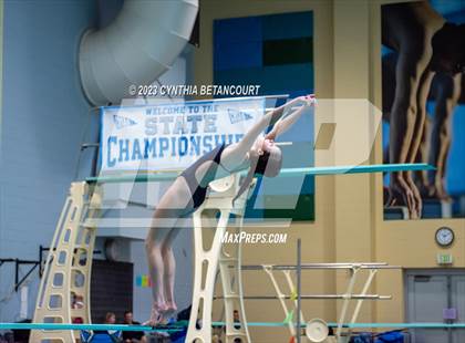 Thumbnail 2 in 3A Dive Championship photogallery.