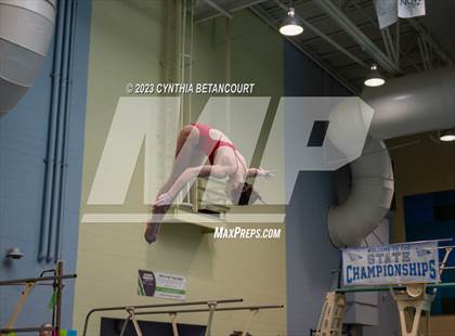 Thumbnail 1 in 3A Dive Championship photogallery.