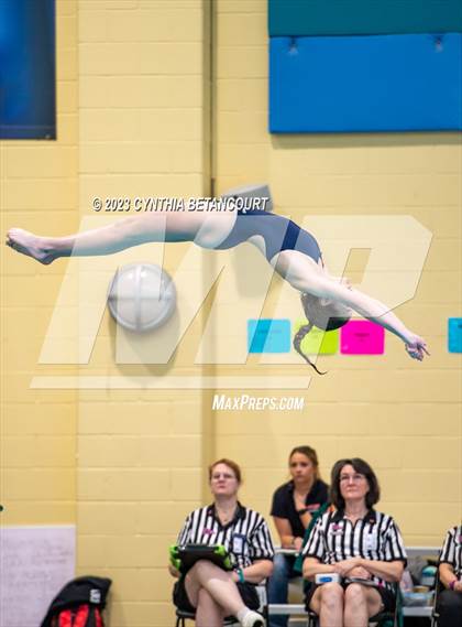 Thumbnail 3 in 3A Dive Championship photogallery.
