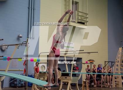 Thumbnail 1 in 3A Dive Championship photogallery.