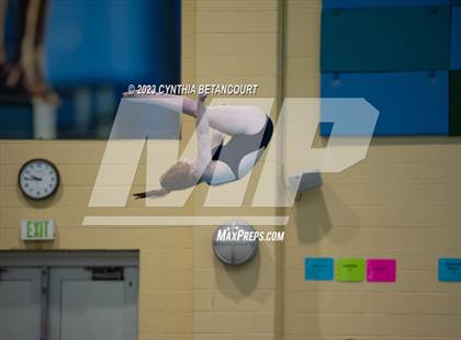 Thumbnail 1 in 3A Dive Championship photogallery.