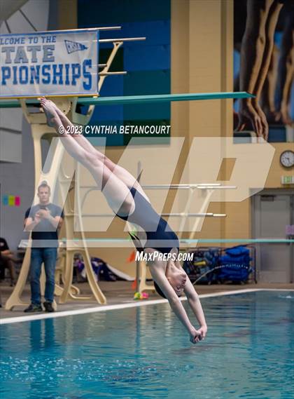 Thumbnail 1 in 3A Dive Championship photogallery.