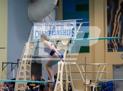 Thumbnail 2 in 3A Dive Championship photogallery.