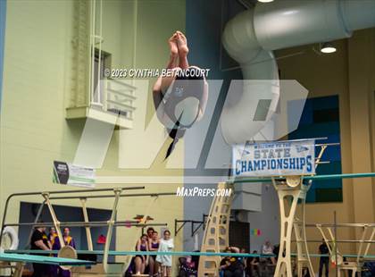 Thumbnail 3 in 3A Dive Championship photogallery.