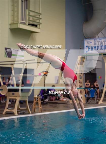 Thumbnail 3 in 3A Dive Championship photogallery.