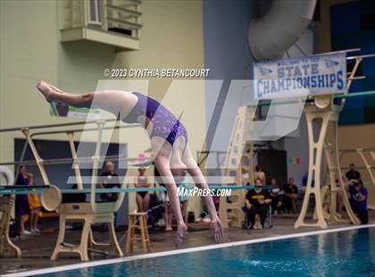 Thumbnail 3 in 3A Dive Championship photogallery.