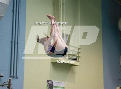 Thumbnail 2 in 3A Dive Championship photogallery.