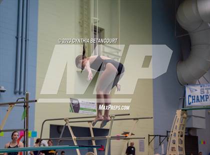 Thumbnail 1 in 3A Dive Championship photogallery.