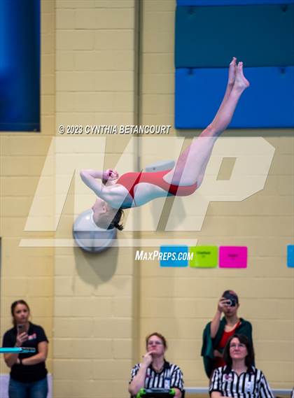Thumbnail 3 in 3A Dive Championship photogallery.