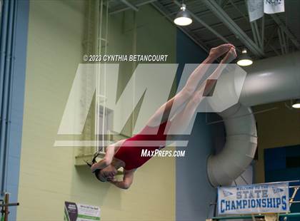 Thumbnail 3 in 3A Dive Championship photogallery.