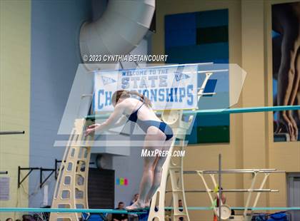 Thumbnail 2 in 3A Dive Championship photogallery.