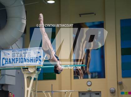 Thumbnail 1 in 3A Dive Championship photogallery.