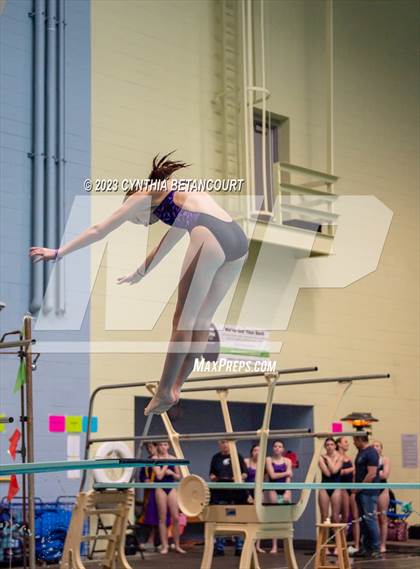 Thumbnail 2 in 3A Dive Championship photogallery.