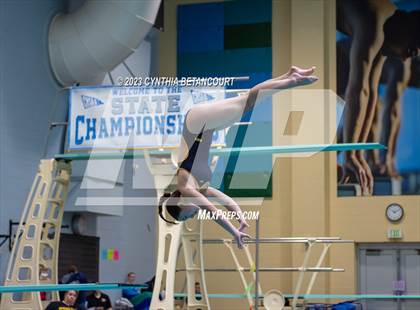 Thumbnail 2 in 3A Dive Championship photogallery.