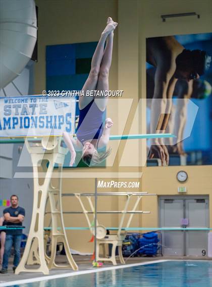 Thumbnail 1 in 3A Dive Championship photogallery.