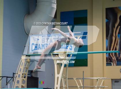 Thumbnail 3 in 3A Dive Championship photogallery.