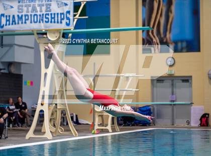 Thumbnail 2 in 3A Dive Championship photogallery.