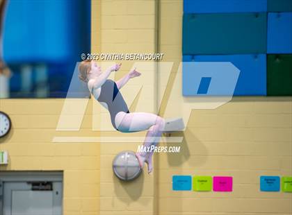 Thumbnail 2 in 3A Dive Championship photogallery.