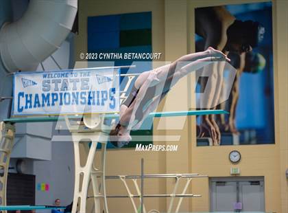 Thumbnail 2 in 3A Dive Championship photogallery.